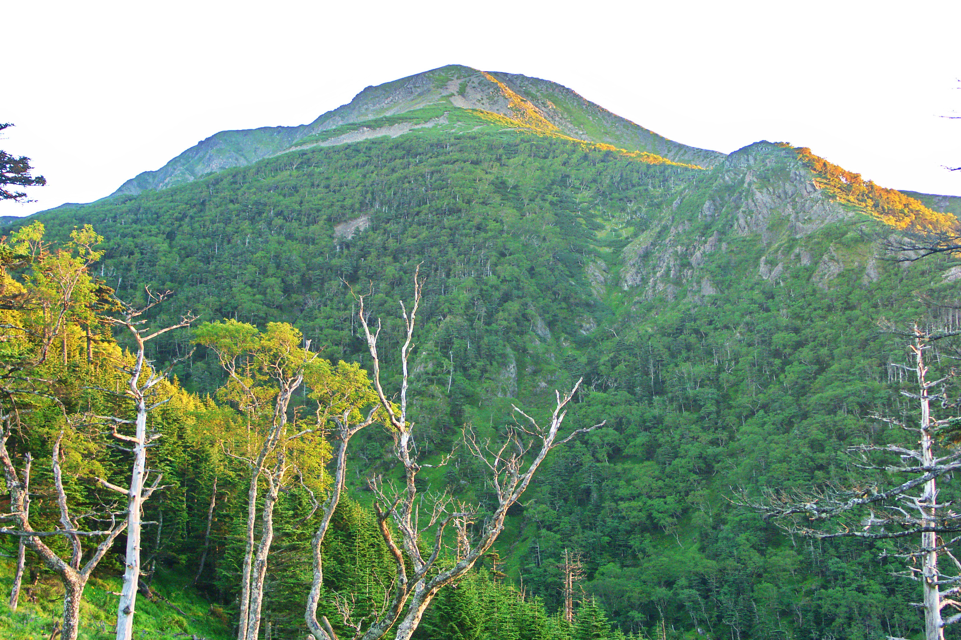 小ピーク2478m付近