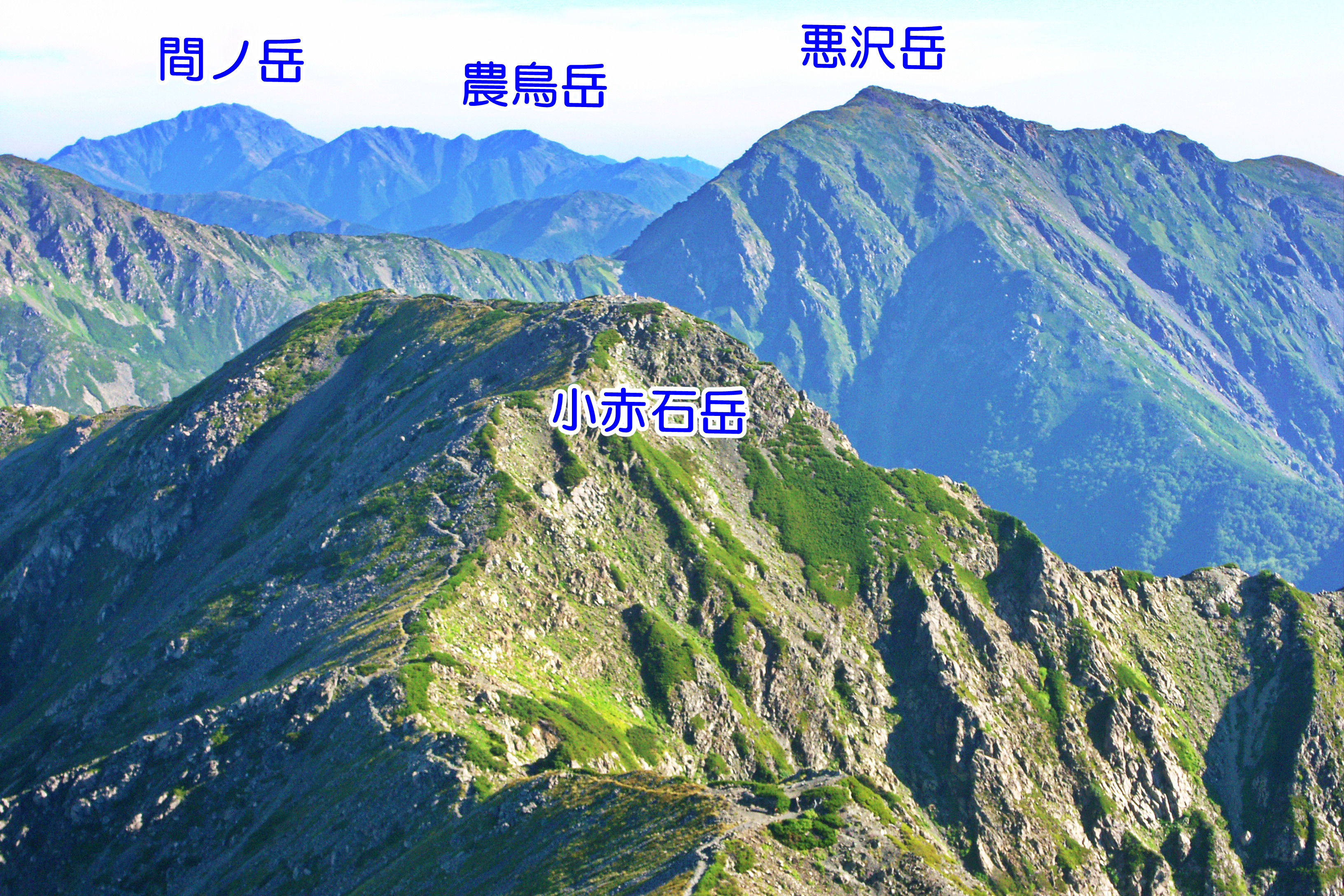 赤石岳山頂４