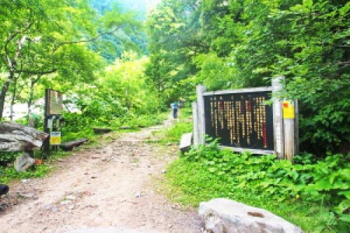 柏原新道登山口