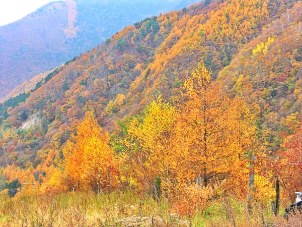 もうすぐ下山口