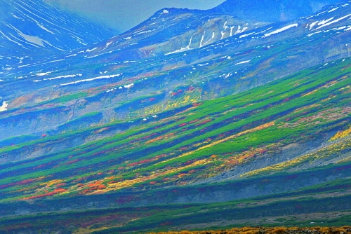 白雲岳分岐手前