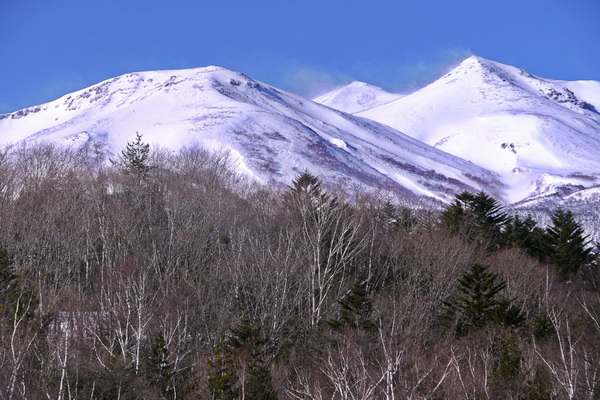 ネイチャープラザ2