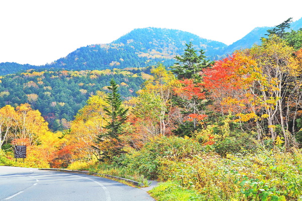 清水新道大沼池入口