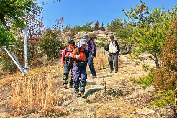 小高御位山付近